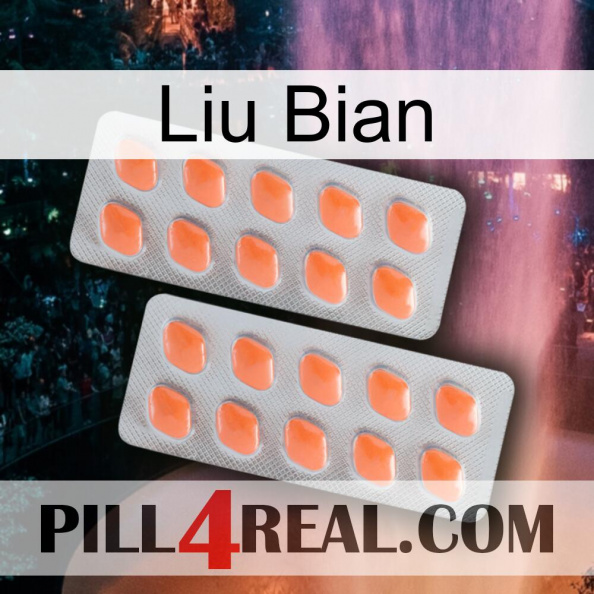 Liu Bian 27
